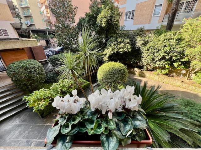 La Casa Delle Camelie Apartment Roma Exterior foto